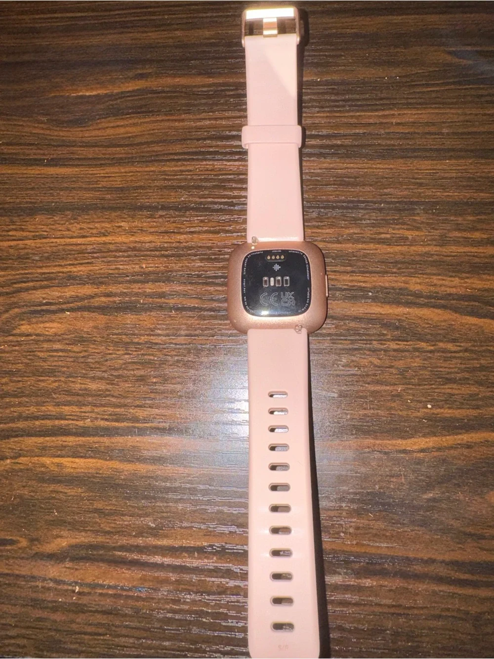 Fitbit Versa 2 Aluminum Case with Bronze Watch Band
